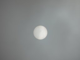 RXA05288